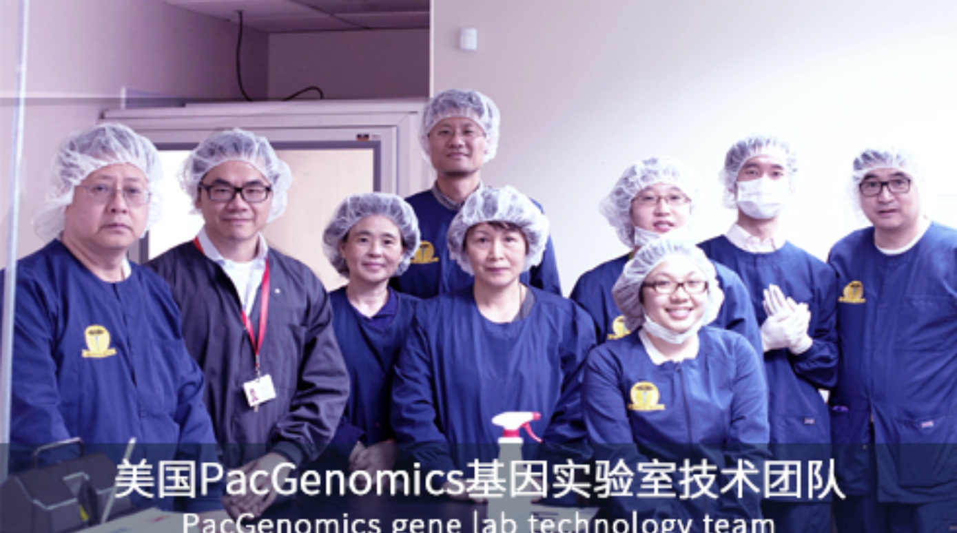 公司简介