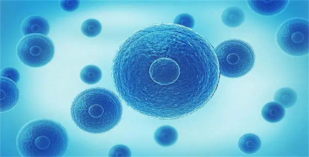 供卵试管婴儿要等多久才能成功