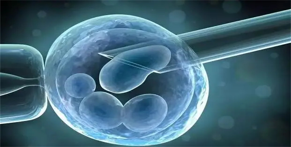 供卵试管卵巢早衰要多久才能怀孕 供卵试管卵巢早衰要多久才能怀孕